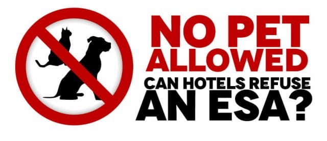 Can Hotels Refuse Emotional Support Animals
