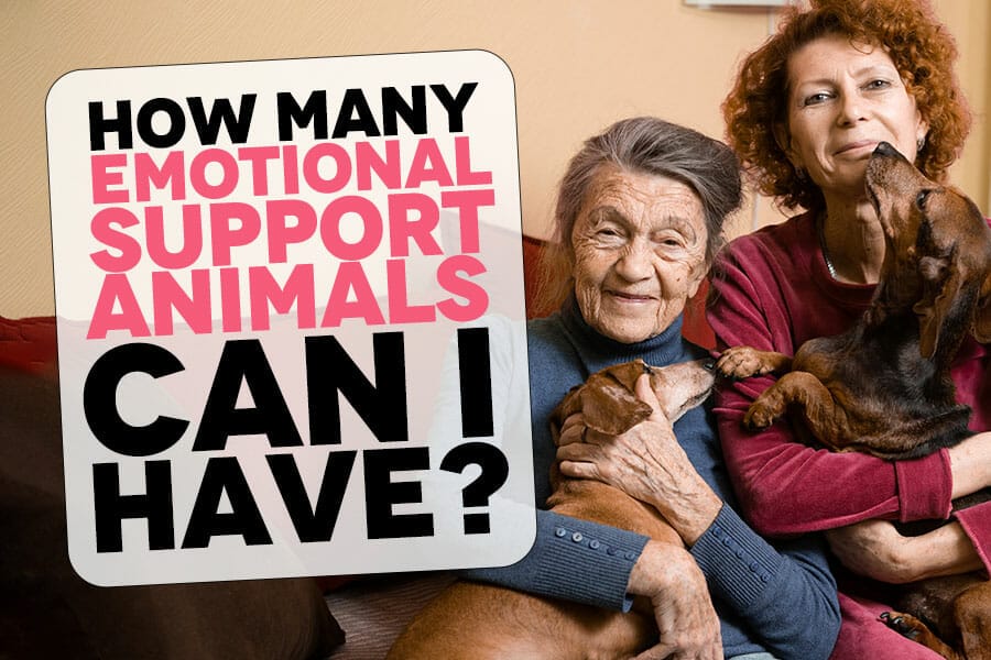 How many Emotional Support Animals can I have?
